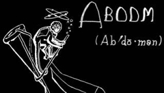 Abdomen